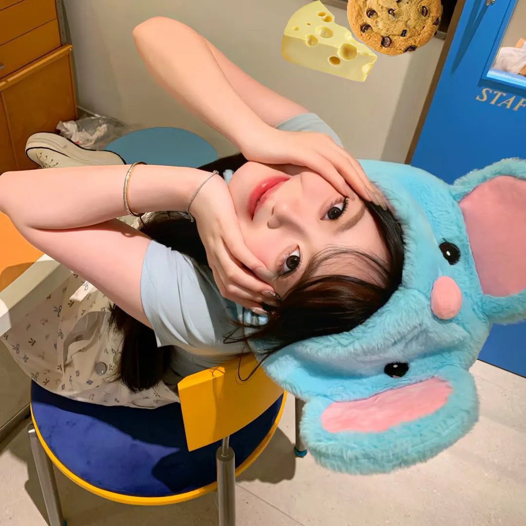 菊石